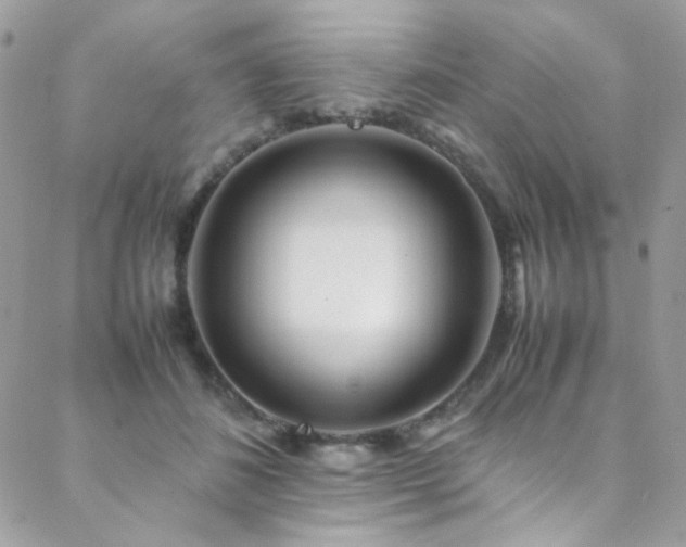 X0000089370508200706151202