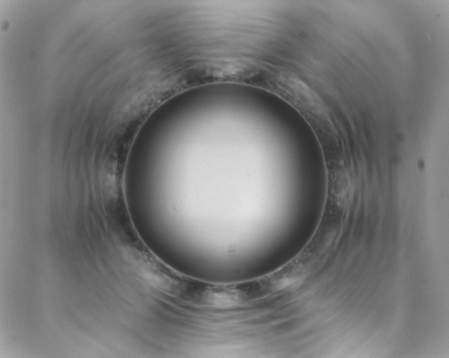 X0000089370510200706151202