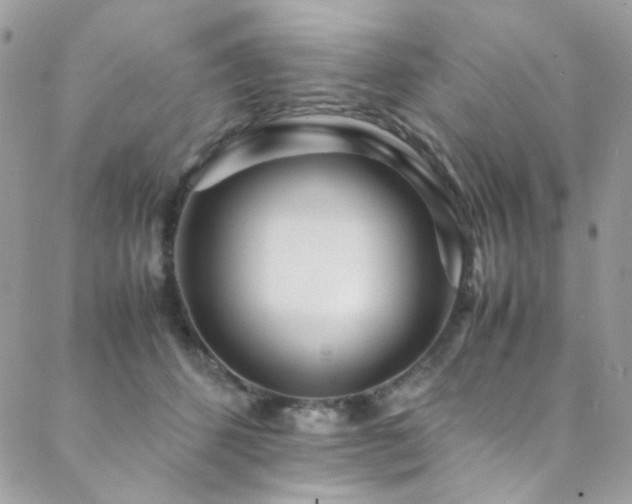 X0000089370512200706151202