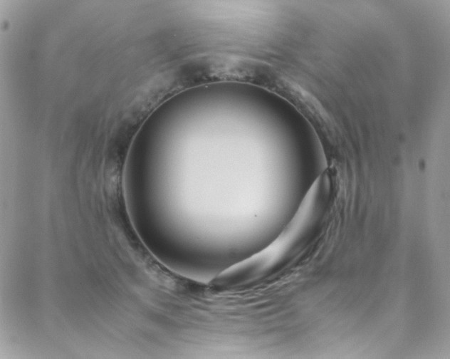 X0000089370513200706151202
