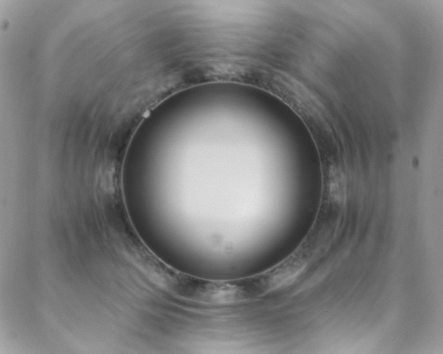 X0000089370514200706151202
