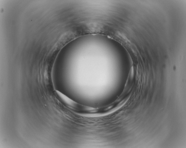 X0000089370516200706151202