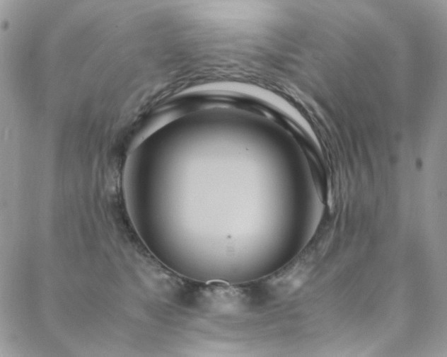 X0000089370517200706151202