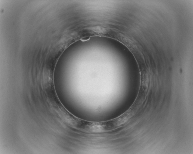 X0000089370518200706151202