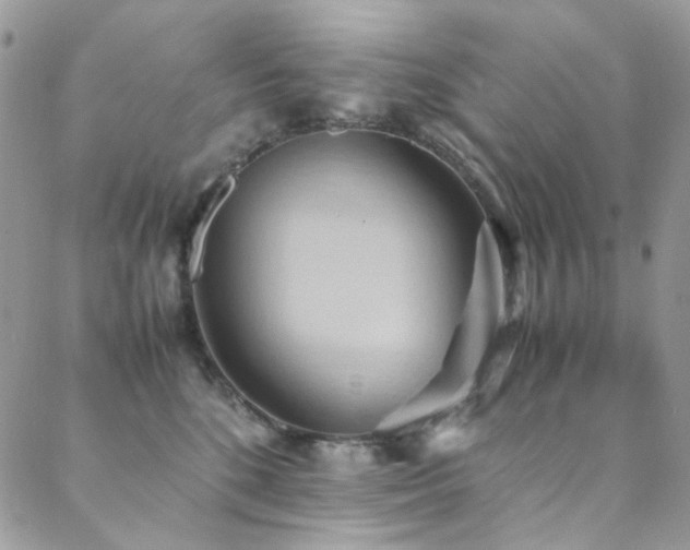 X0000089370520200706151202
