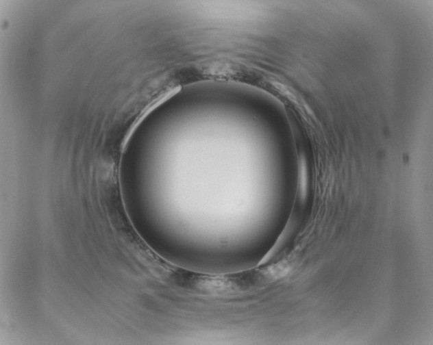 X0000089370521200706151202