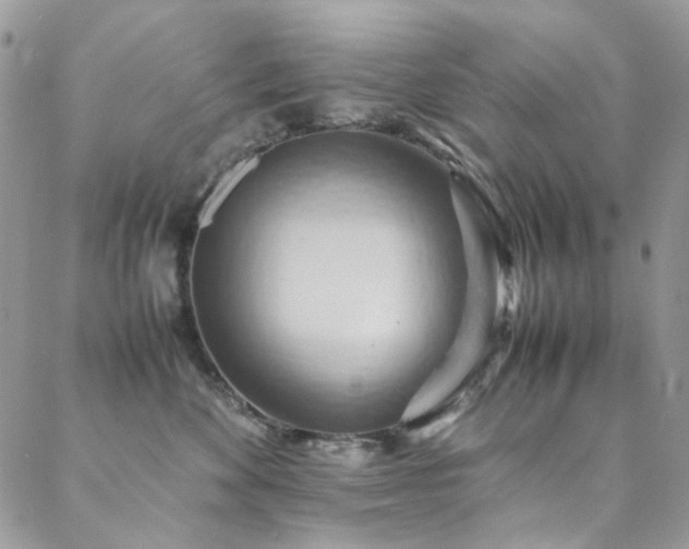 X0000089370524200706151202