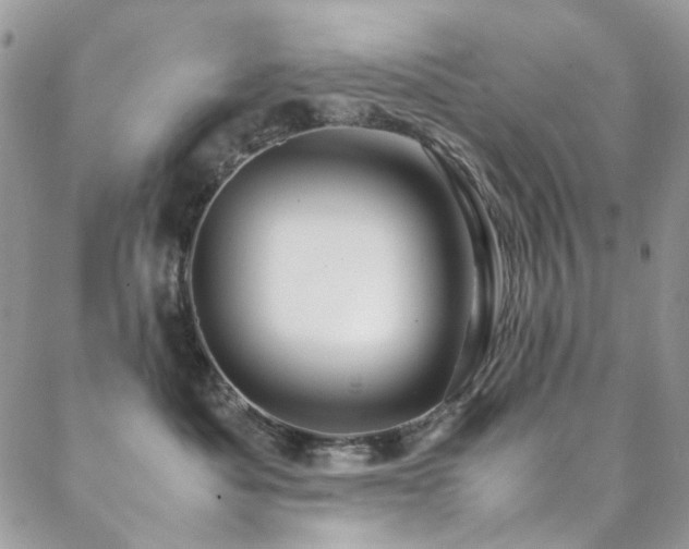 X0000089370525200706151202