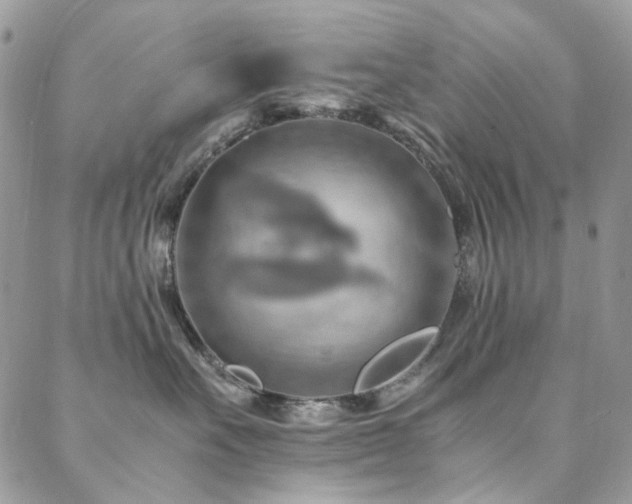 X0000089370527200706151202