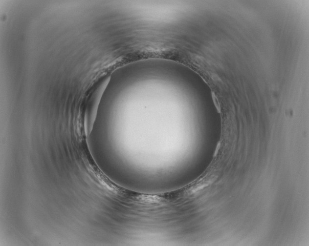 X0000089370528200706151201
