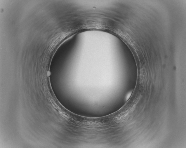 X0000089370529200706151201