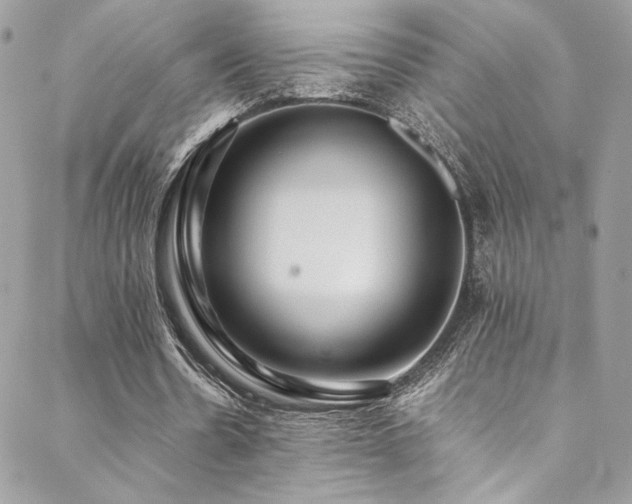 X0000089370530200706151201