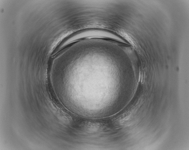 X0000089370531200706151201