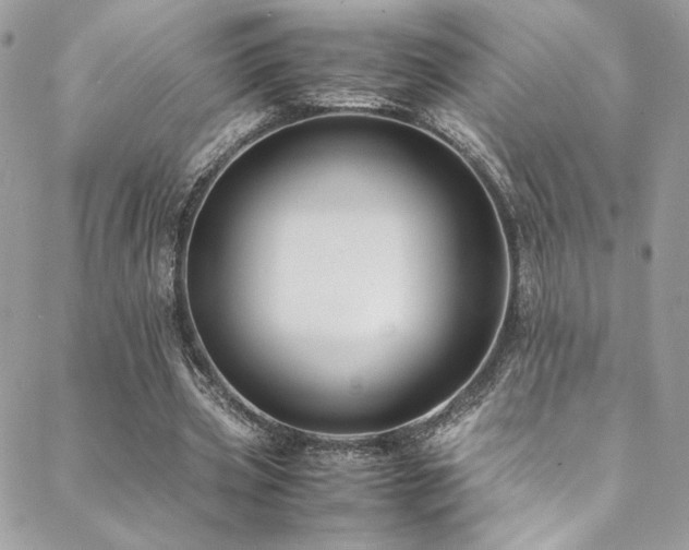 X0000089370533200706151201