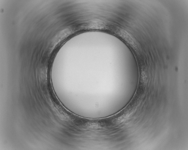 X0000089370534200706151201