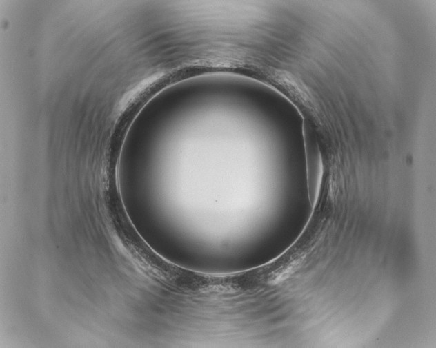 X0000089370536200706151201
