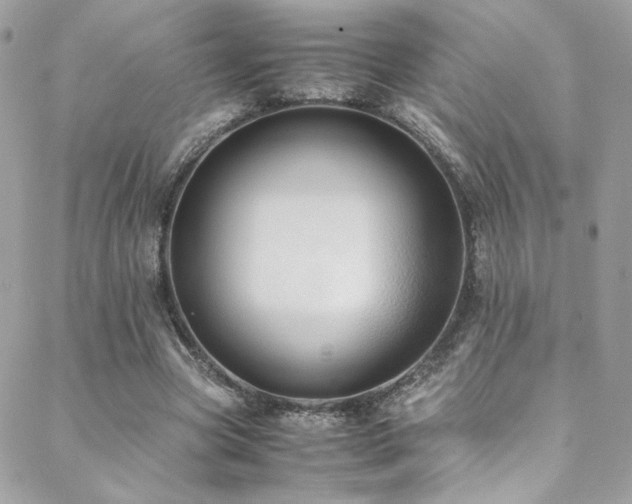 X0000089370537200706151201