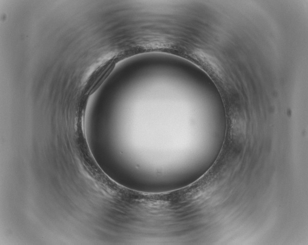 X0000089370539200706151201
