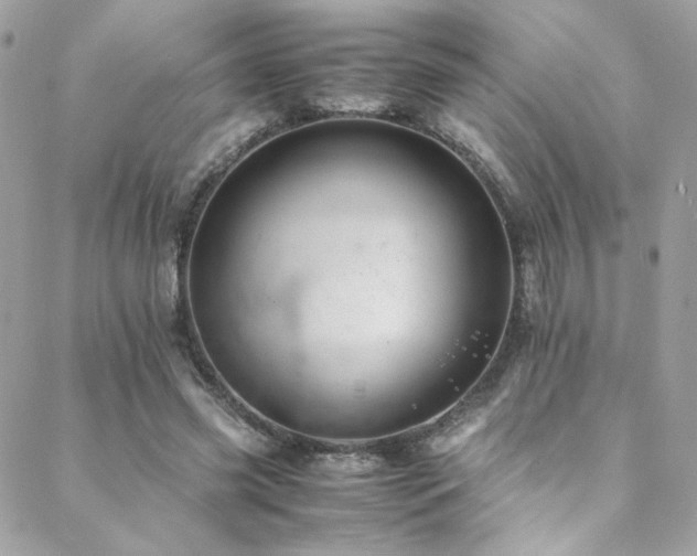X0000089370541200706151201