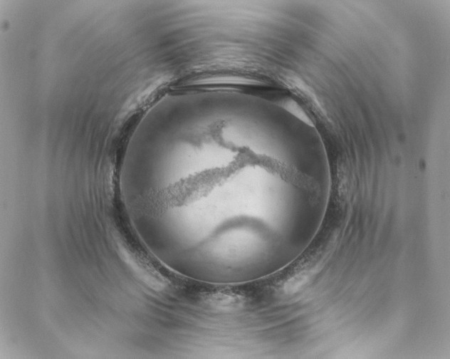 X0000089370542200706151201