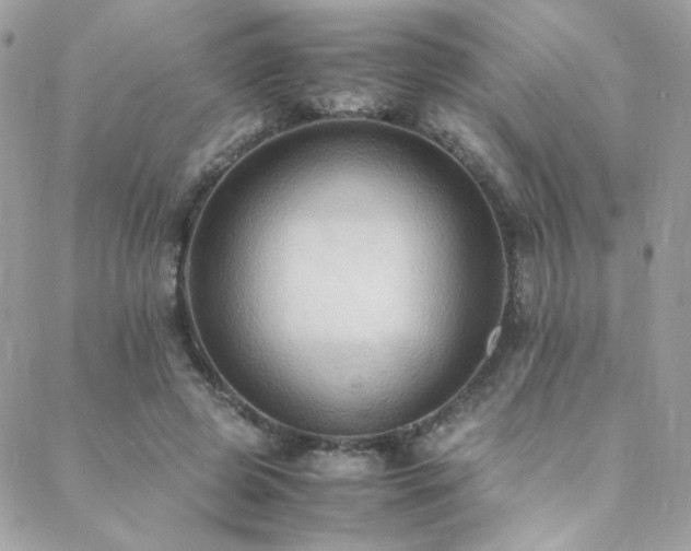 X0000089370545200706151201