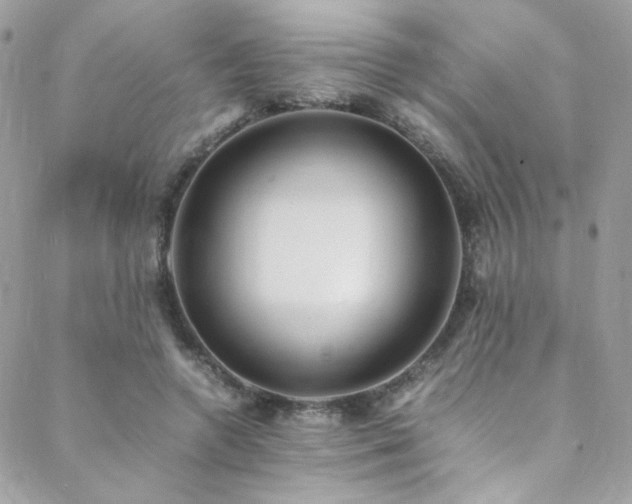 X0000089370546200706151201