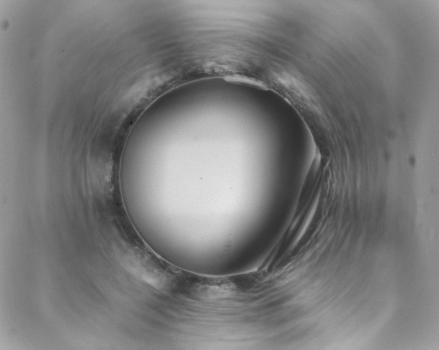 X0000089370548200706151201