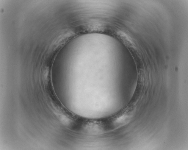 X0000089370550200706151201