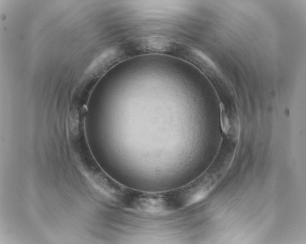 X0000089370552200706151201