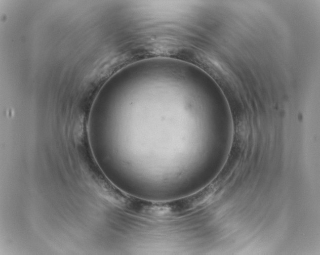X0000089370554200706151201