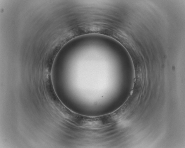 X0000089370555200706151201
