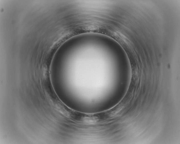 X0000089370556200706151201