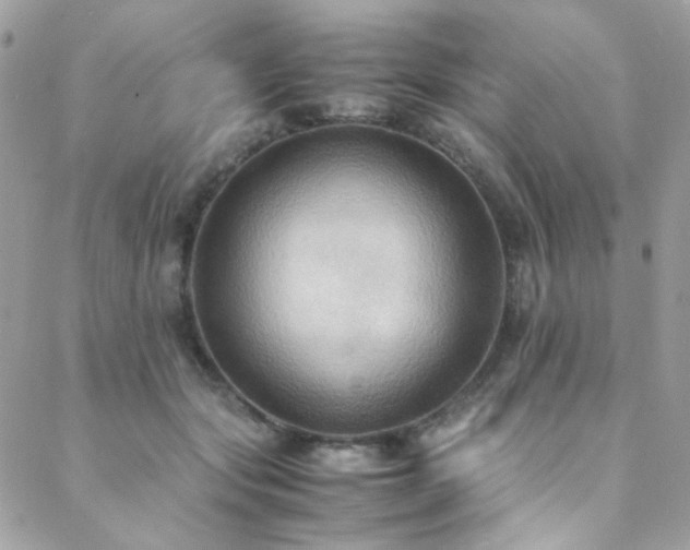 X0000089370557200706151201