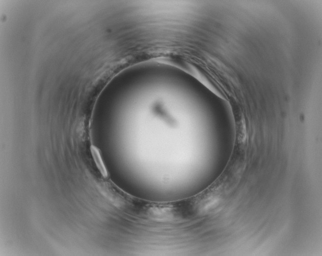 X0000089370560200706151201