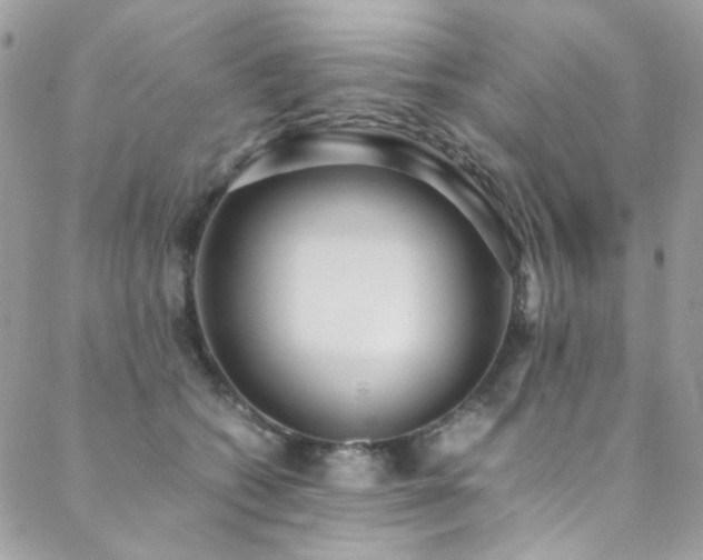 X0000089370562200706151201