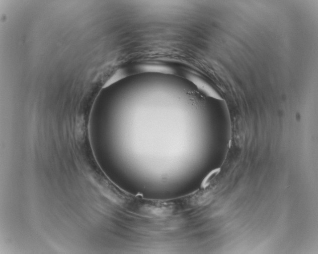 X0000089370563200706151201