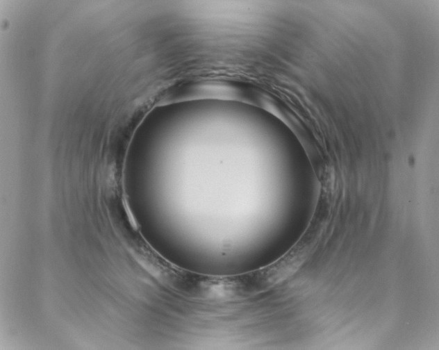 X0000089370564200706151201
