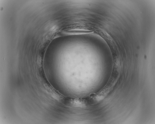 X0000089370565200706151201