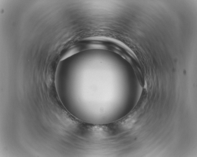X0000089370566200706151201