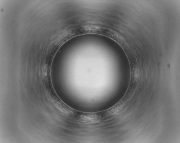 X0000089370567200706151201
