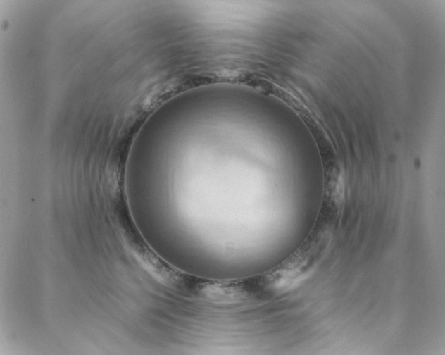 X0000089370568200706151201