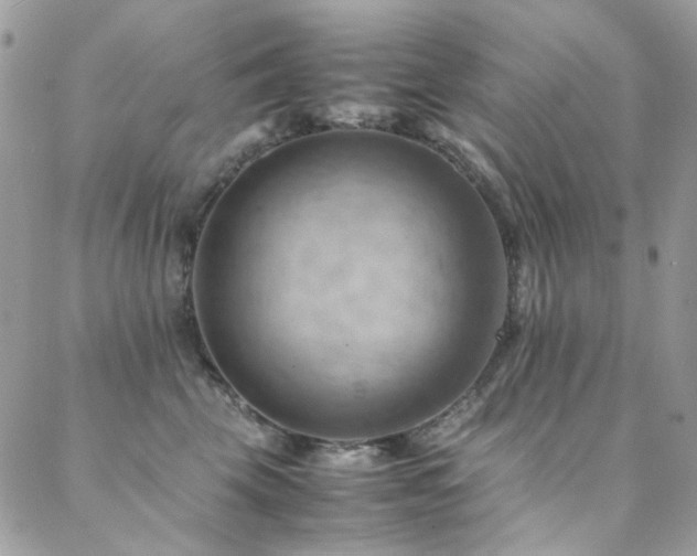 X0000089370569200706151201