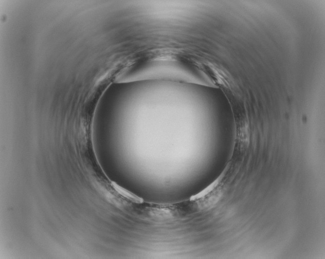 X0000089370572200706151201
