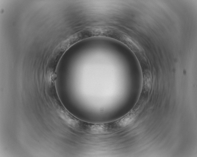 X0000089370574200706151201