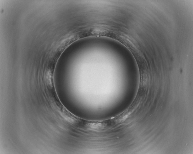X0000089370575200706151201