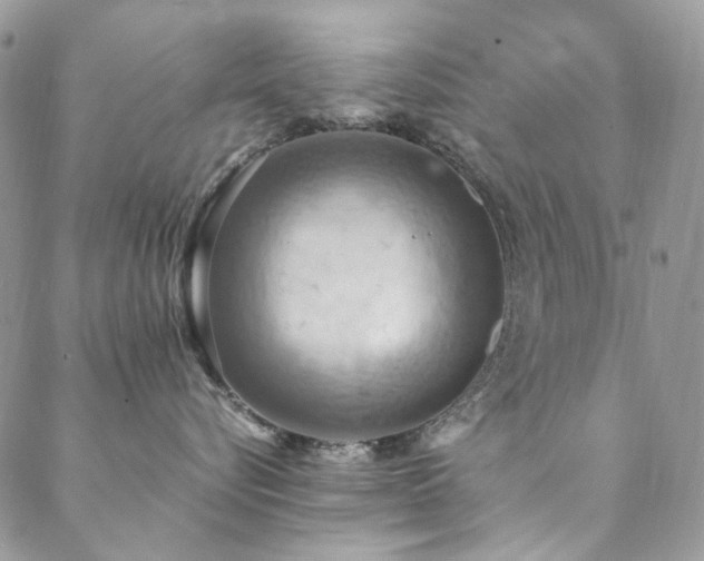 X0000089370576200706151201