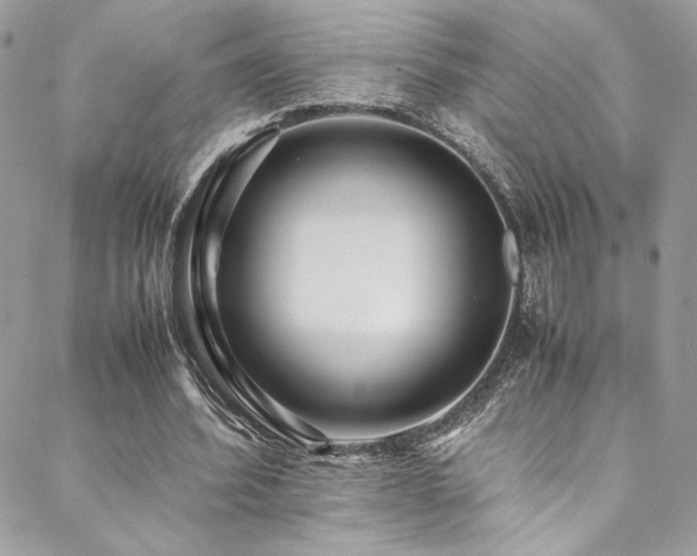 X0000089370580200706151201