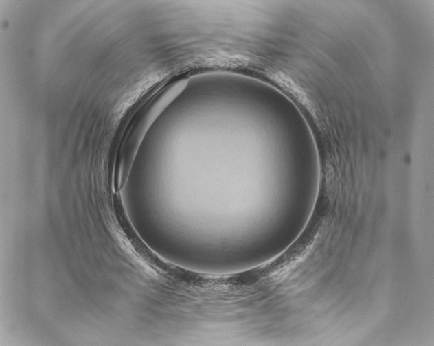 X0000089370581200706151201