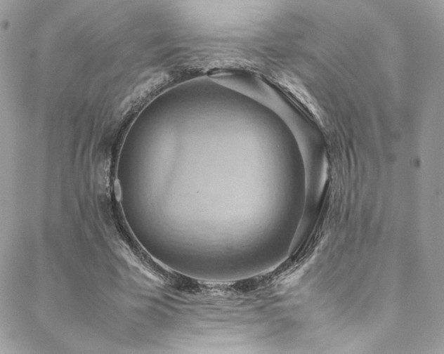 X0000089370585200706151201