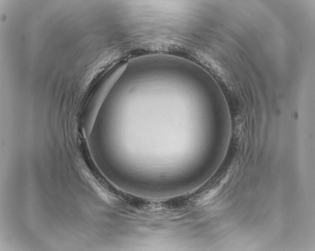 X0000089370589200706151200